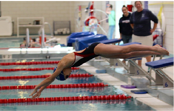 Diving into Westport Water Rats