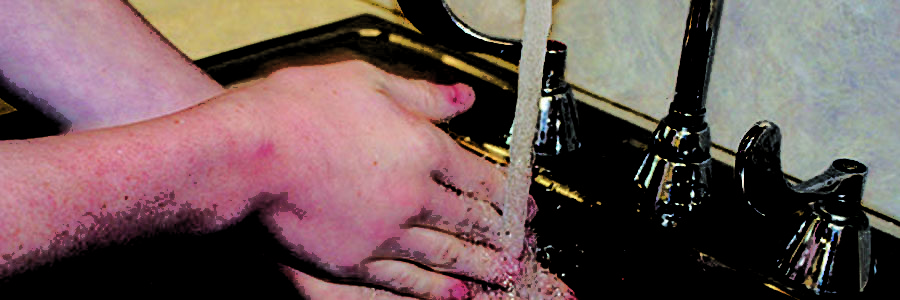 Washing+hands+is+the+best+way+to+prevent+illness+during+the+cold+and+flu+season.